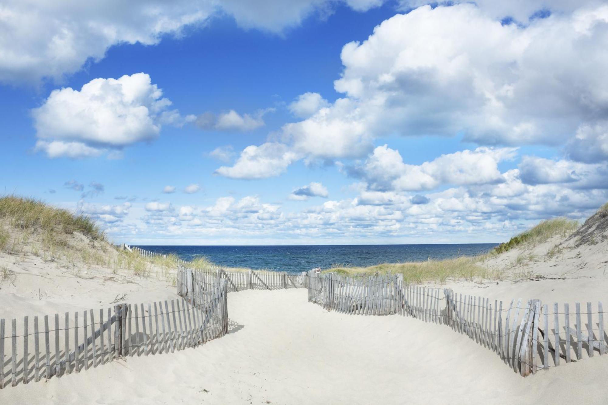 Blue Cottage & Beach Condo Provincetown Rum bild